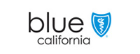 Blue Logo